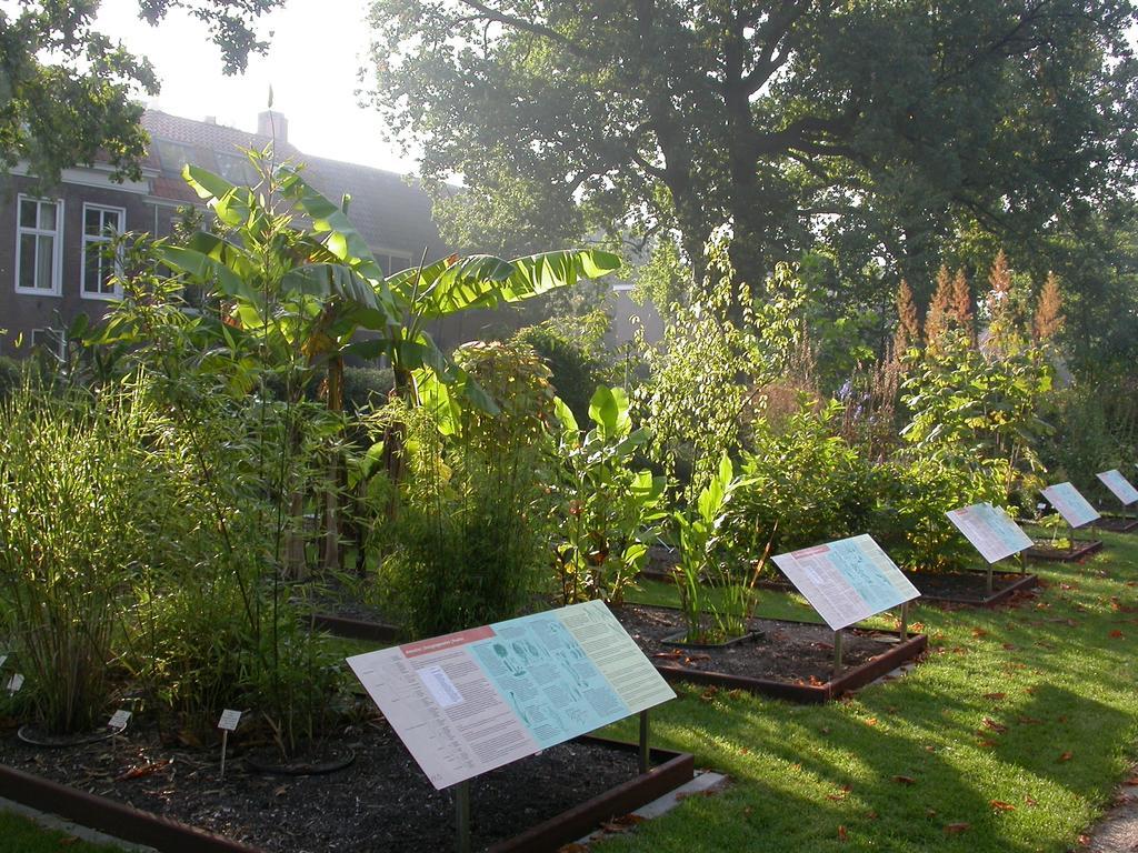 St.Pierre Lägenhet Leiden Exteriör bild